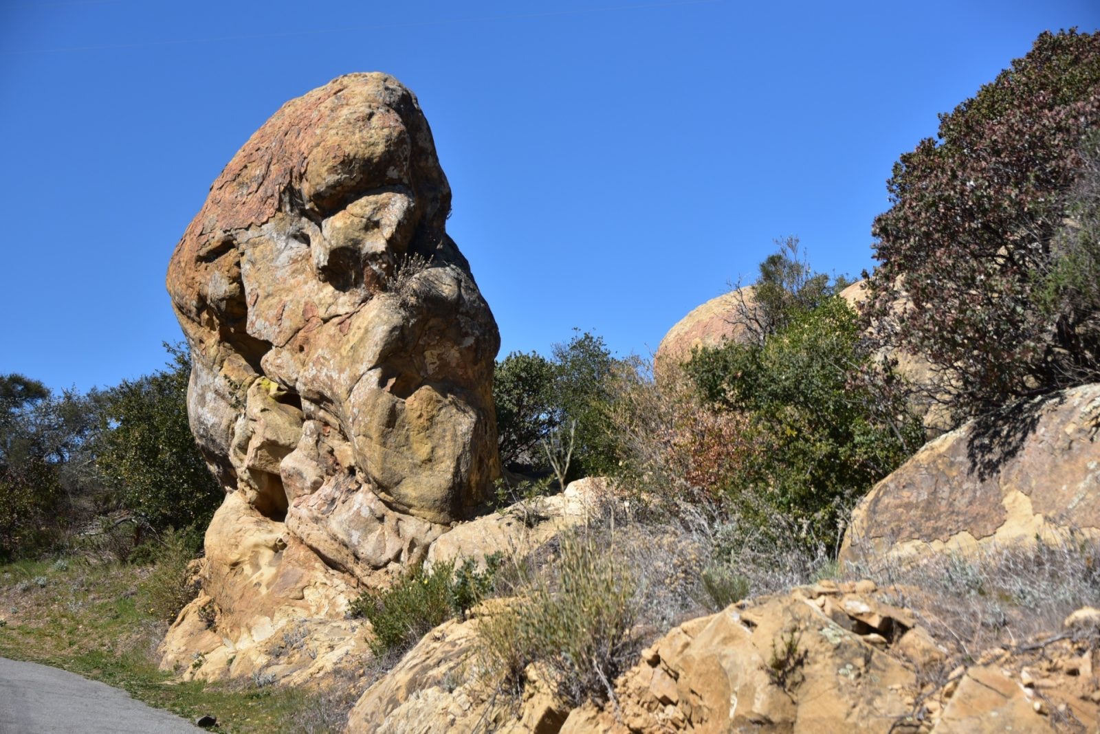 Doszukujesz się twarzy w przypadkowych kształtach? Masz wiele wspólnego z jaskiniowcami