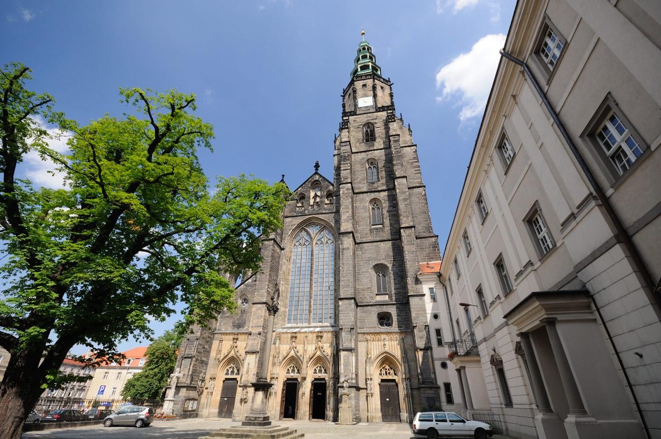 Tajemnicze znalezisko w Świdnicy. Do kogo należą kości 38 osób, które odkryto pod katedrą?
