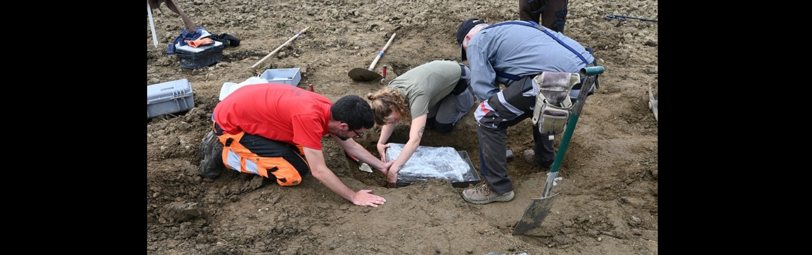 Wielkie skarby w polu marchwi. Rolnik znalazł obiekty sprzed tysięcy lat