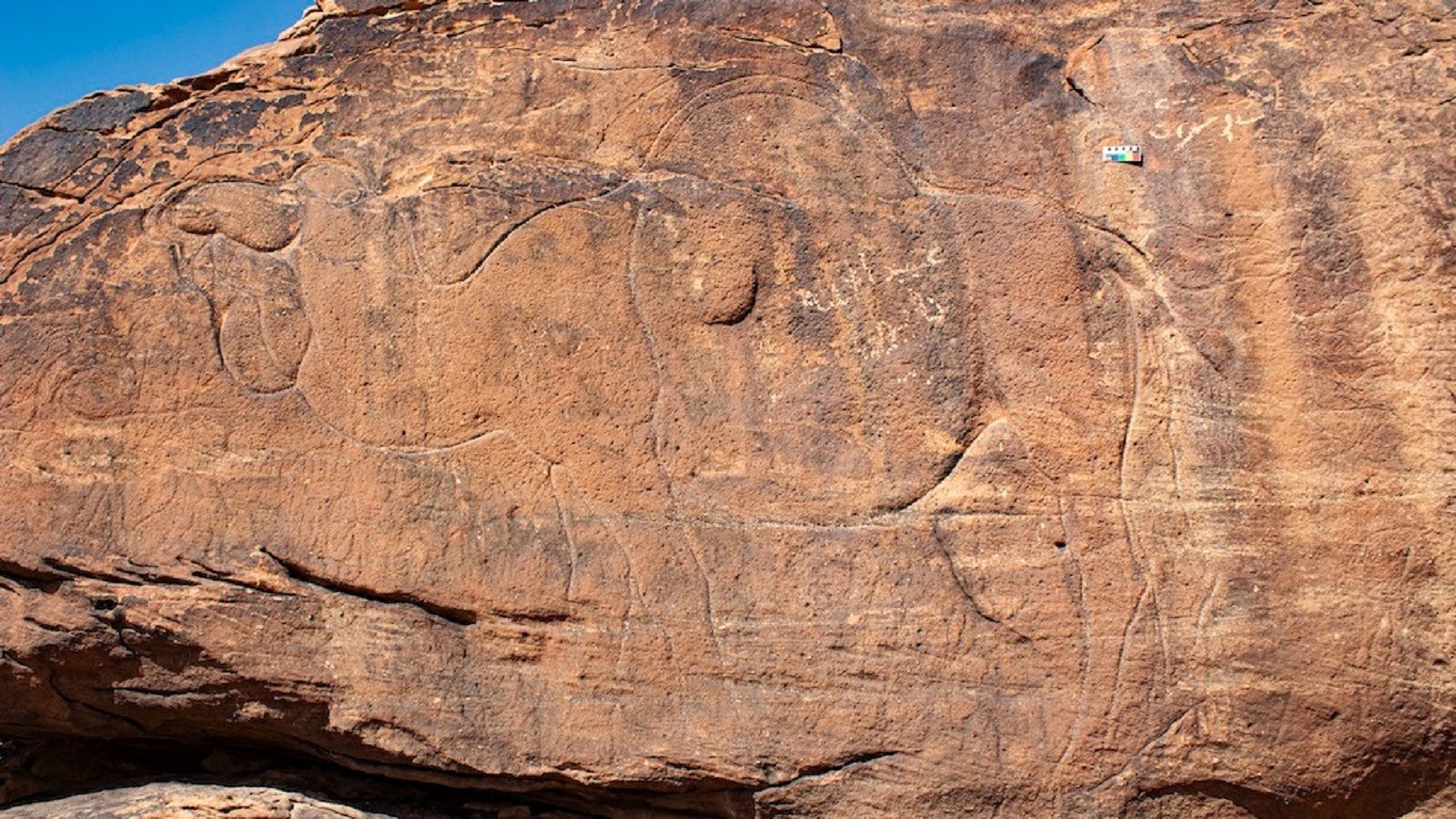 Prehistoryczne rysunki na środku pustyni. Archeolodzy nie mają pojęcia, kto je stworzył