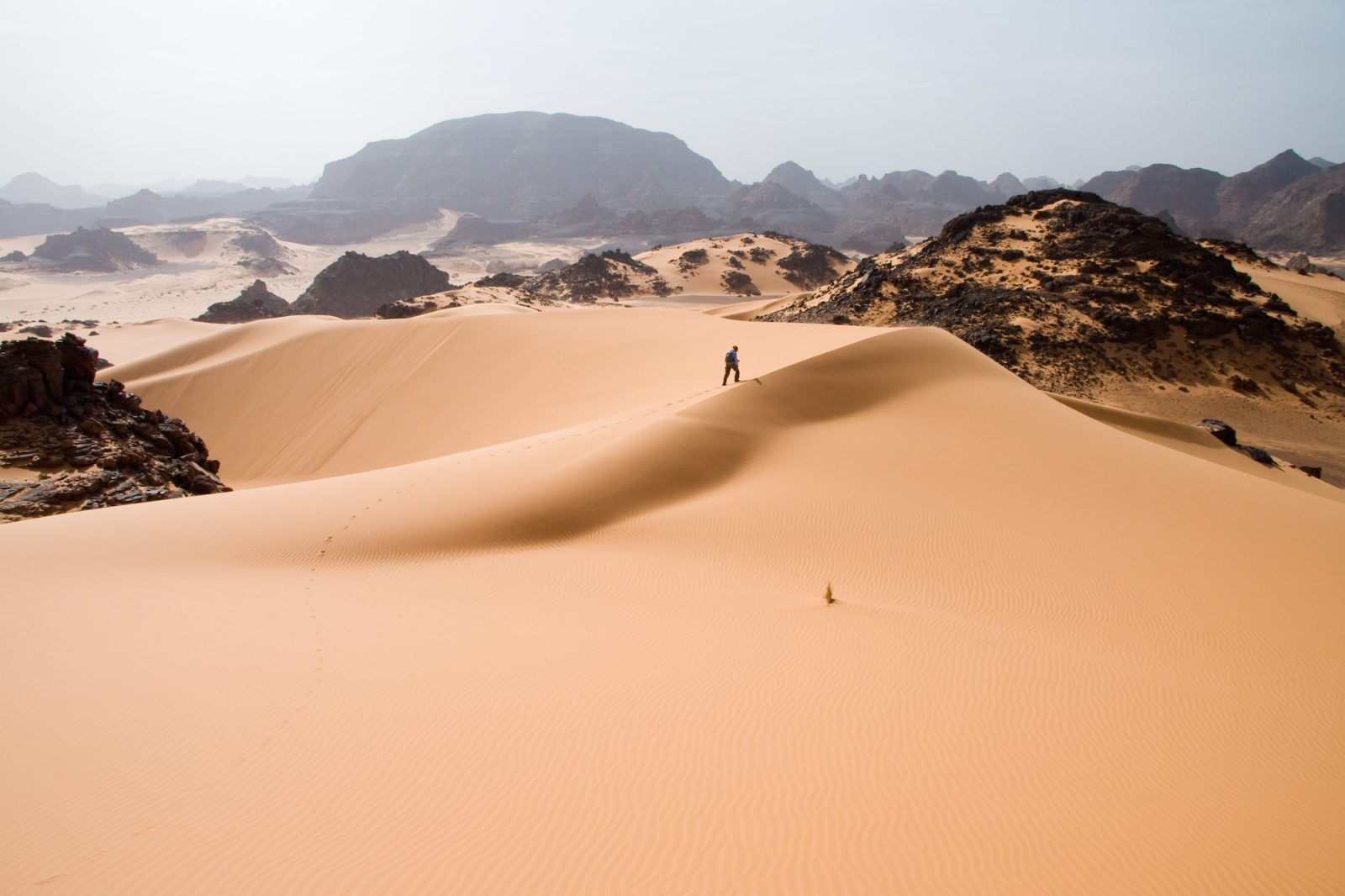 Na Saharze istniała wielka cywilizacja, lecz nagle zniknęła. Naukowcy wyjaśniają, co się wydarzyło