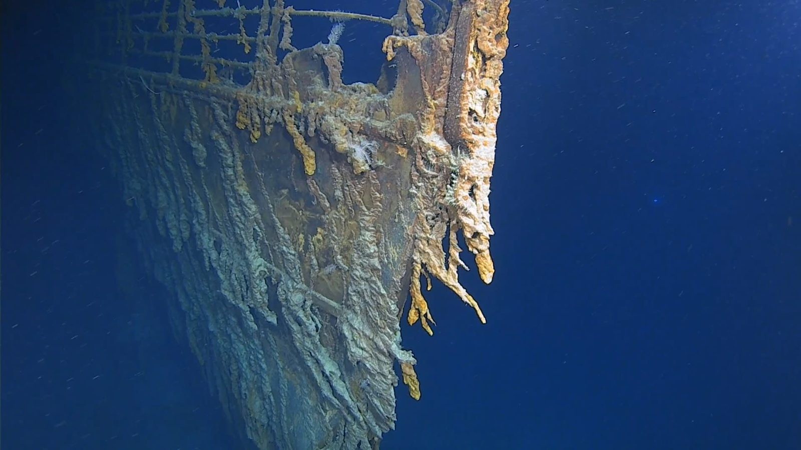 Nowo odkryty wirus infekuje bakterie Halomonas, które są liczne m.in. na wraku Titanica /Fot. Wikimedia Commons
