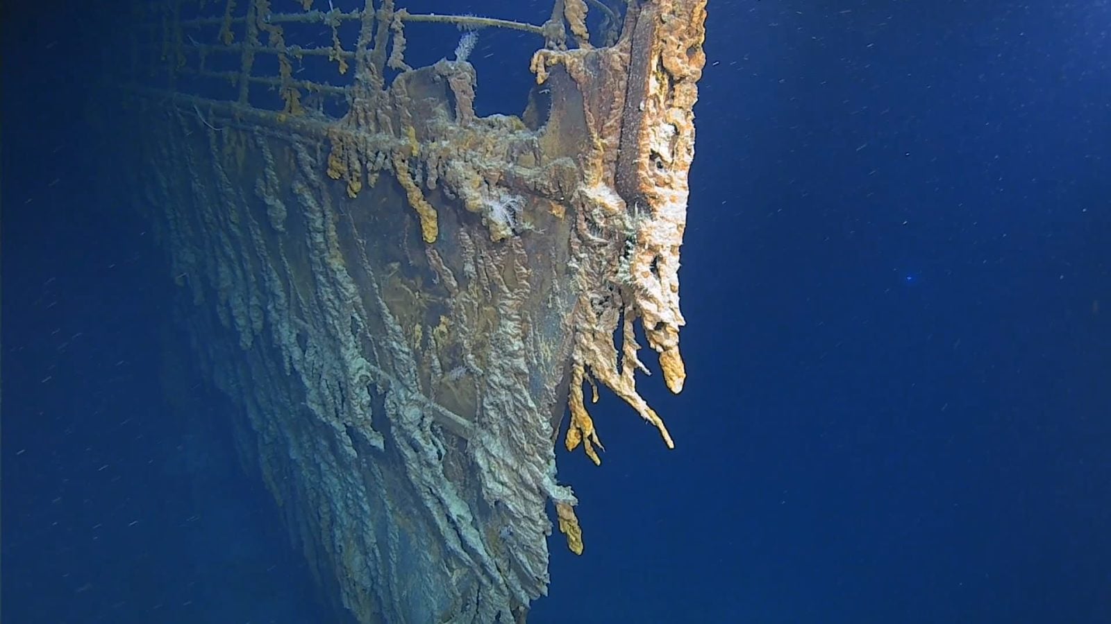 Przybysz z oceanicznych głębin. Nigdy nie widzieliśmy takiego wirusa