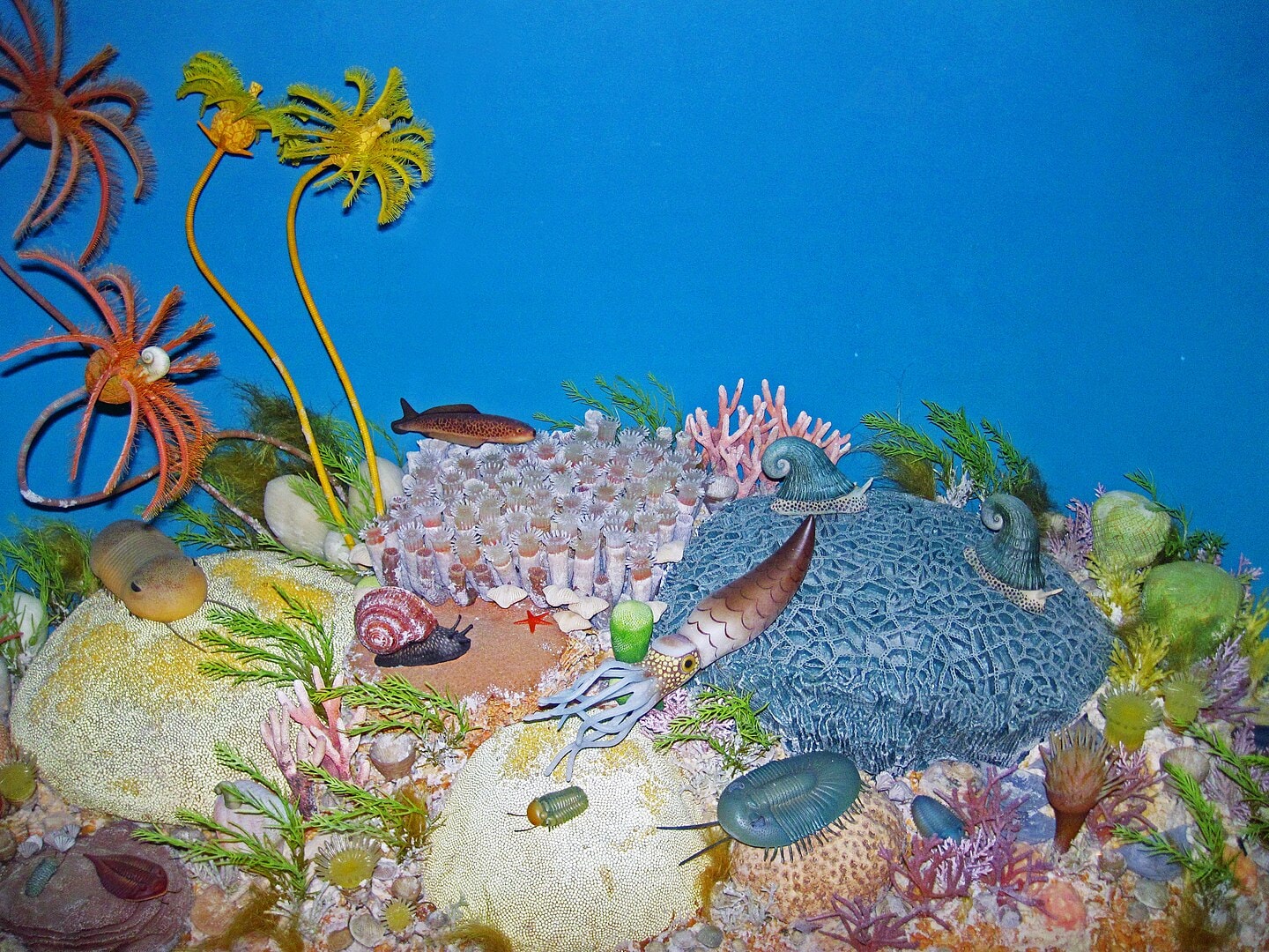 Środowisko morskie w sylurze / źródło: James St. John, Wikimedia Commons, CC BY 2.0