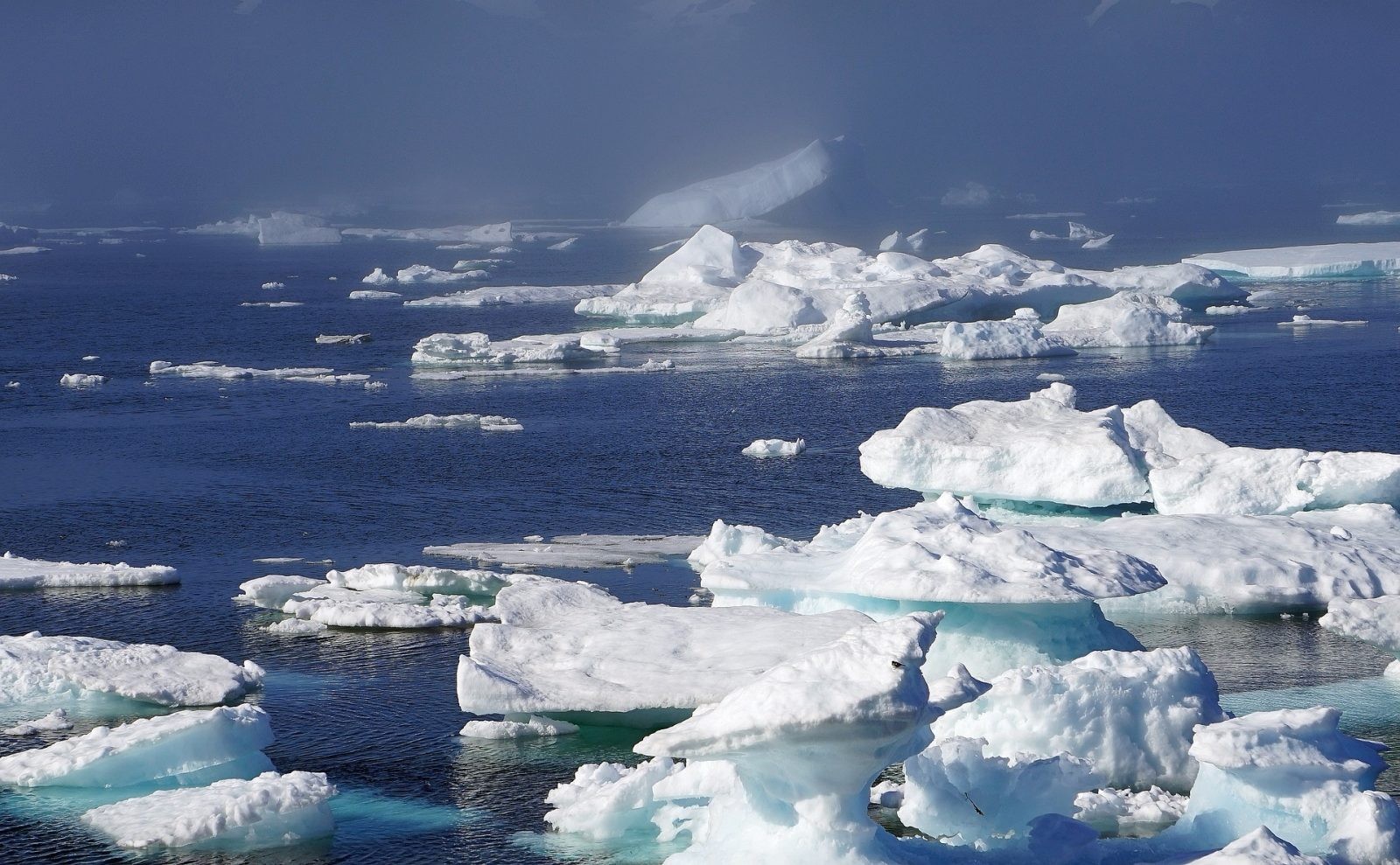 To może być punkt zwrotny dla Grenlandii. Zawaliły się aż trzy lodowce szelfowe