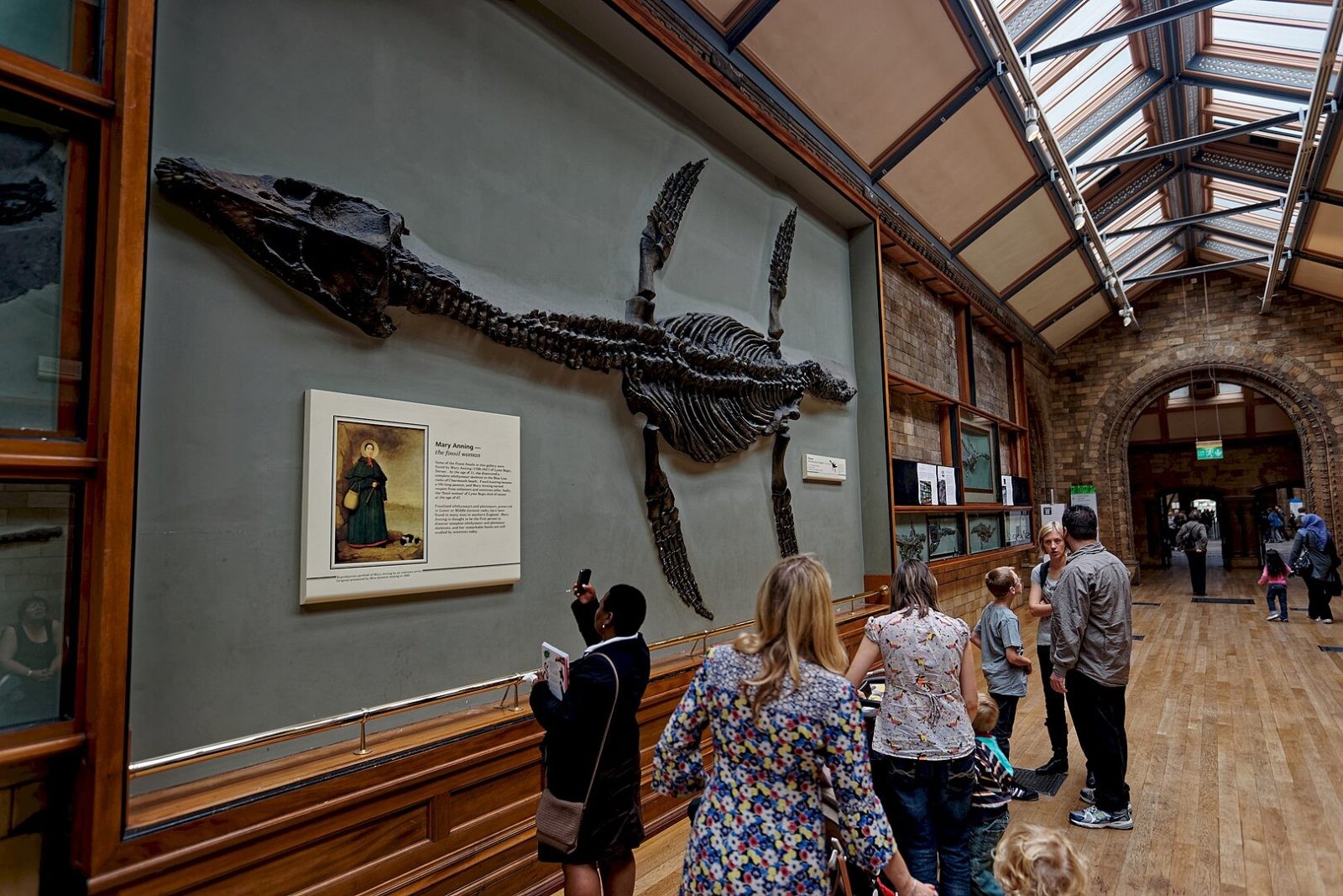 Przykładowa skamieniałość romaleozaura w Muzeum Historii Naturalnej w Londynie / źródło: Wikimedia Commons, CC-BY-SA-4.0
