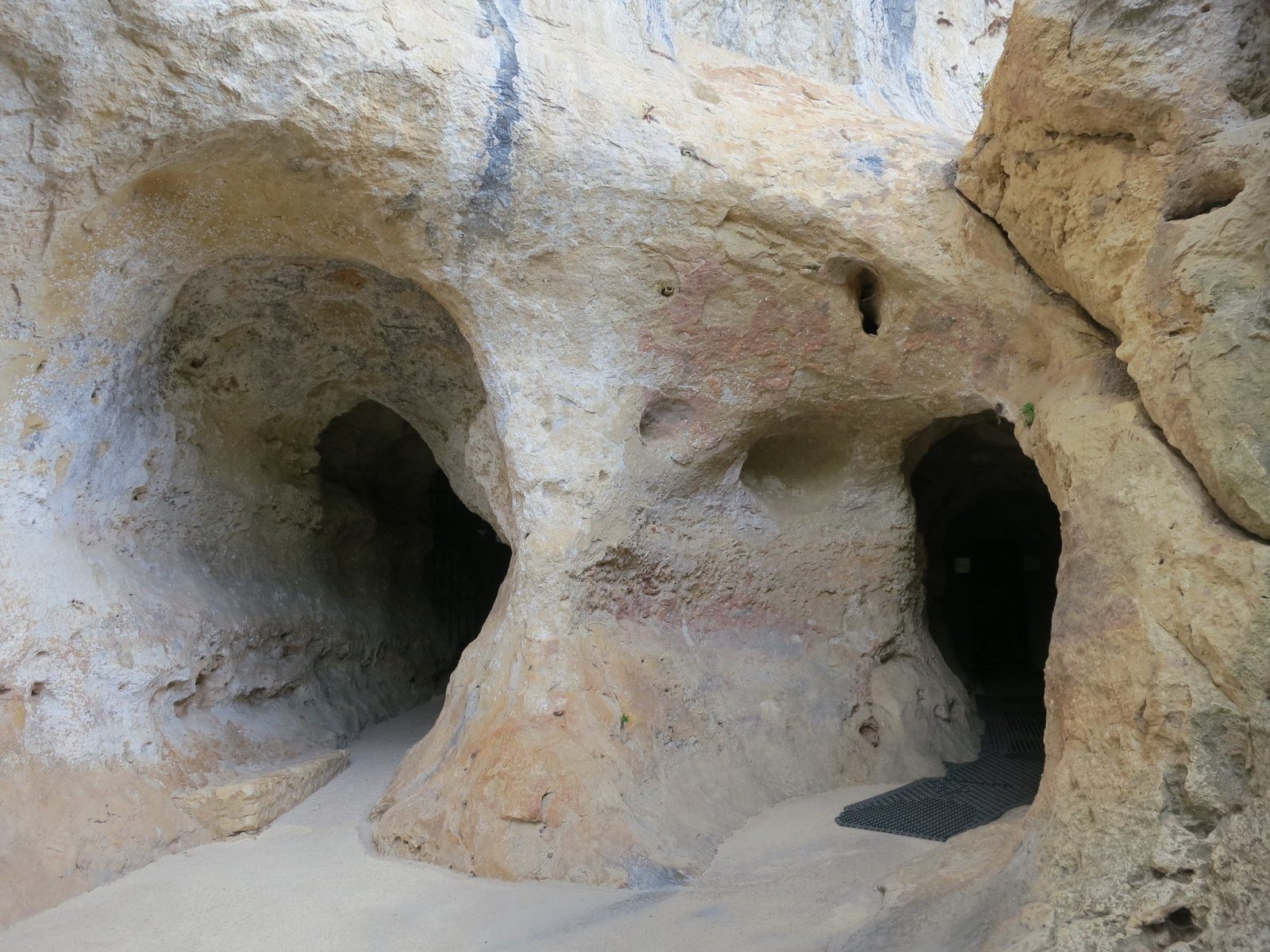 Zbadali prehistoryczne rysunki na nowo. Istotny szczegół zdradza prawdę na temat słynnych jaskiń