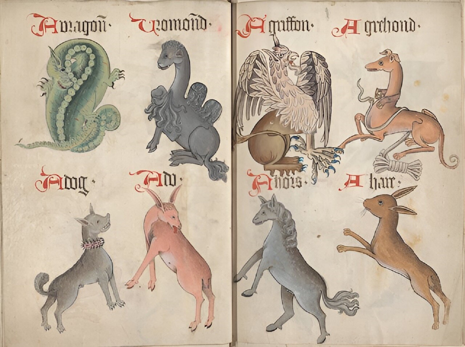 Jak wyglądało życie psów w średniowieczu?
