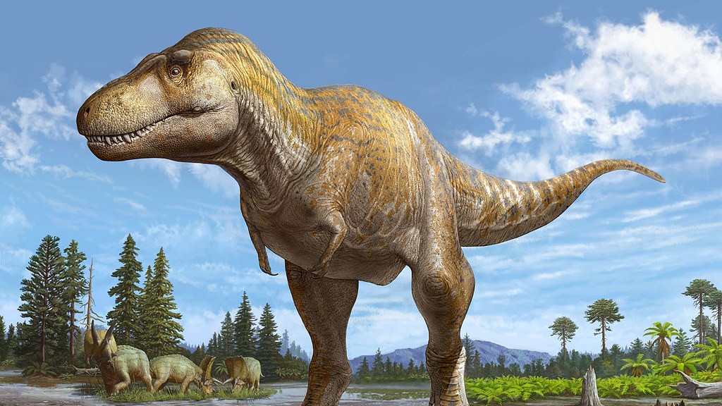 Tyrannosaurus mcraeensis / źródło: Sergey Krasovskiy, Uniwersytet w Bath, materiały prasowe
