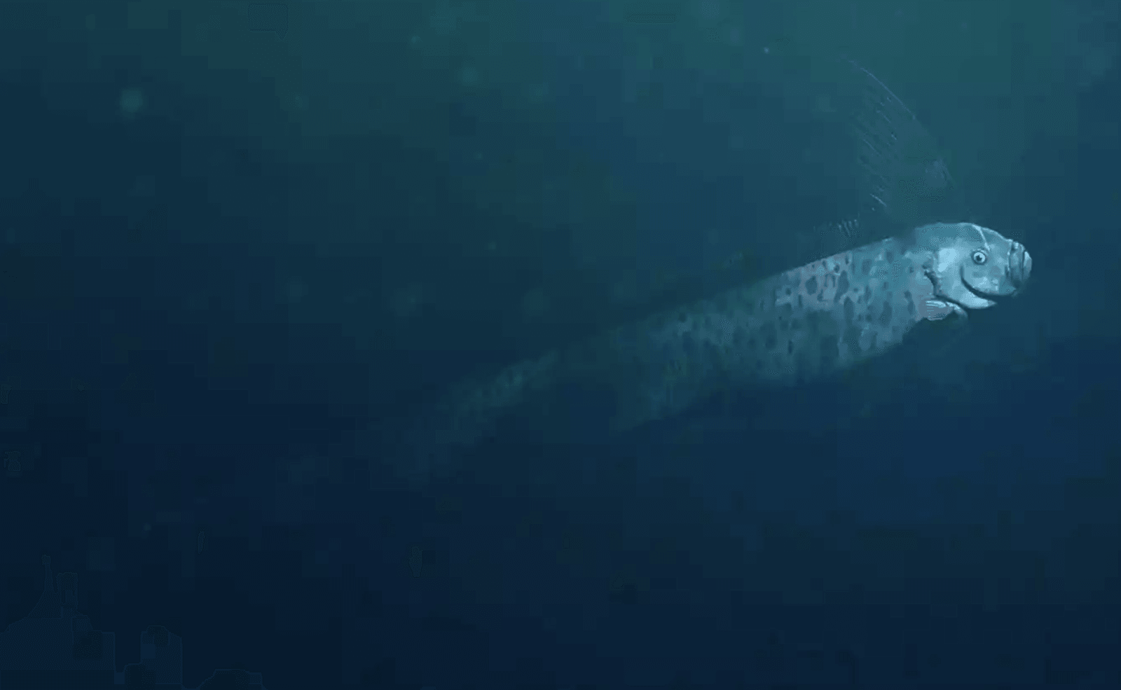 Wstęgor królewski – zdjęcie poglądowe