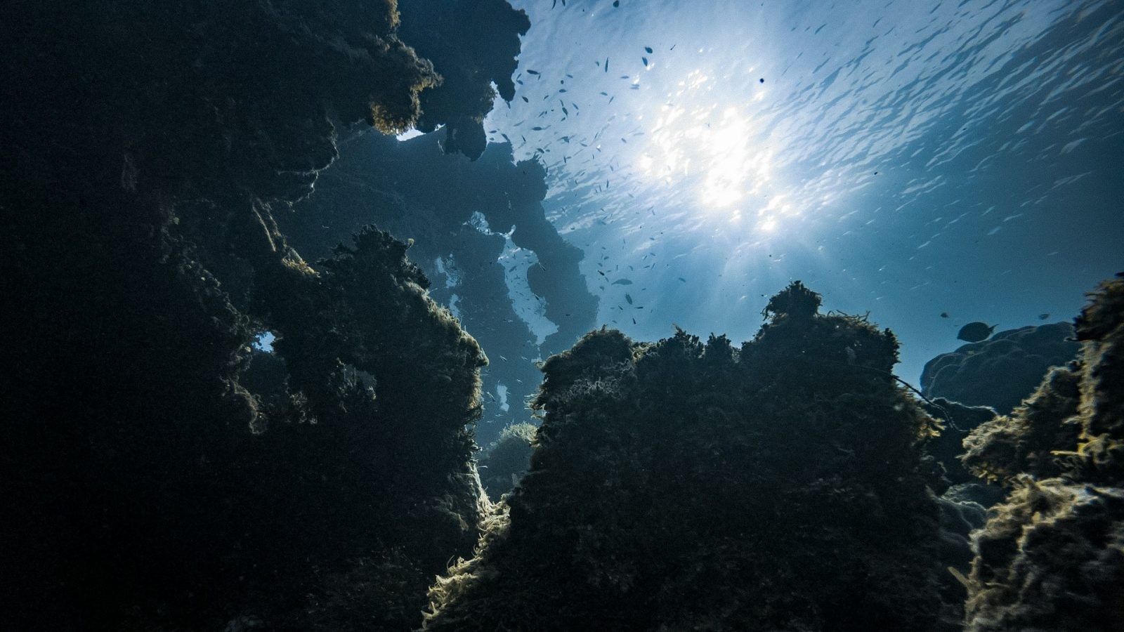 Oceaniczne głębiny &#8211; zdjęcie poglądowe /Fot. Unsplash
