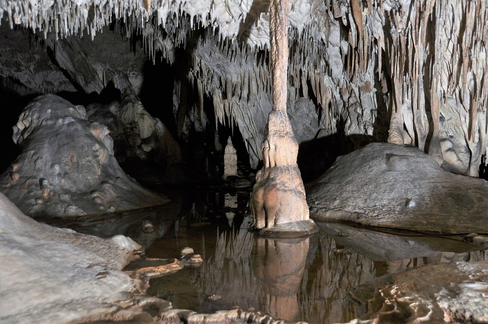 Szczątki wymarłych gatunków znalezione w polskiej jaskini. Co dawniej zamieszkiwało tereny naszego kraju?