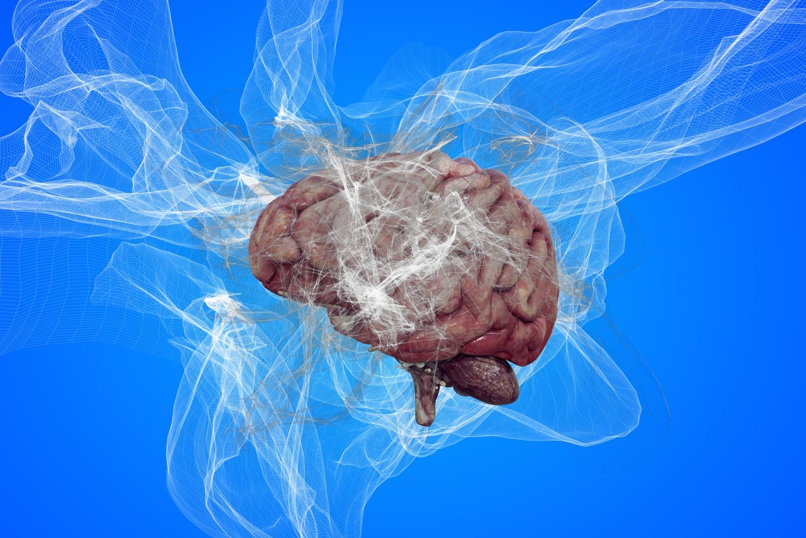 Złe wieści! Chorobą Alzheimera można się zarazić?!