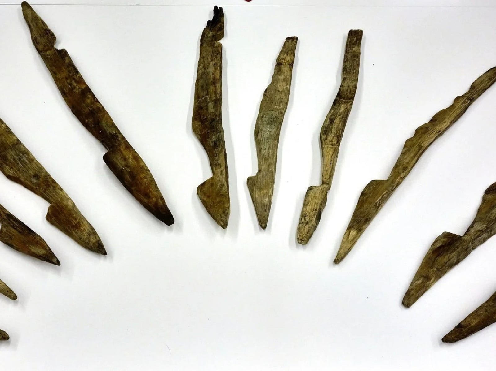 Starożytne bariery ochronne zafascynowały archeologów. Jedyne takie znalezisko niedaleko naszego kraju