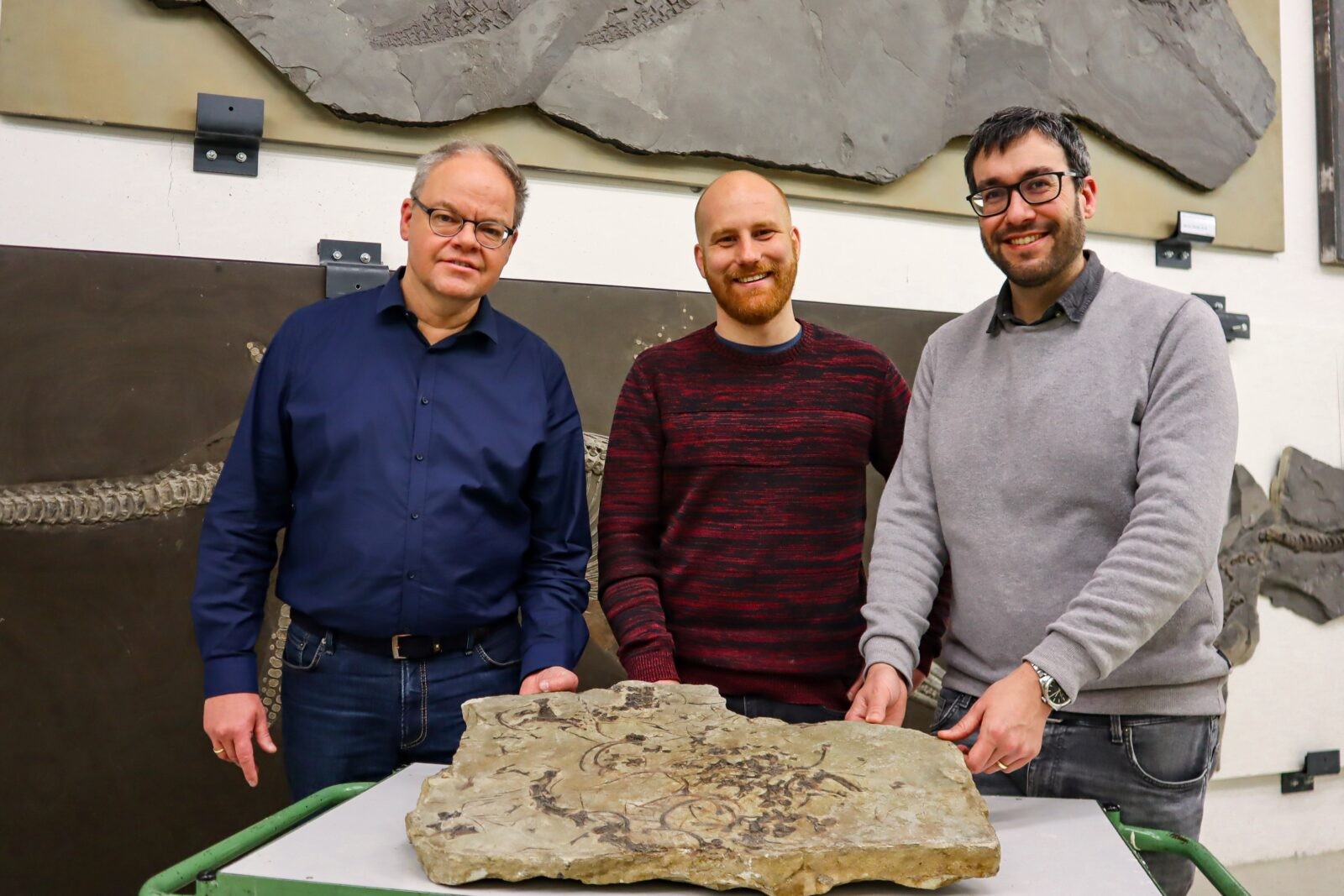 Niemieccy naukowcy badający szczątki protozaura z epoki triasu / źródło: Muzeum Historii Naturalnej w Stuttgarcie, materiały prasowe
