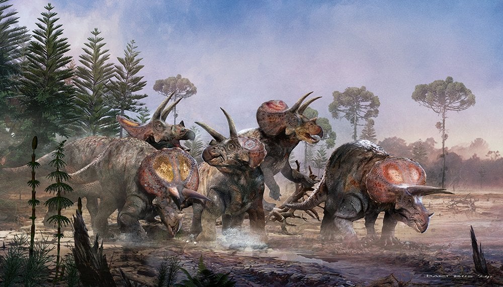 Odkryli rodzinę dinozaurów sprzed milionów lat. Czemu wszyscy zginęli w jednym czasie?