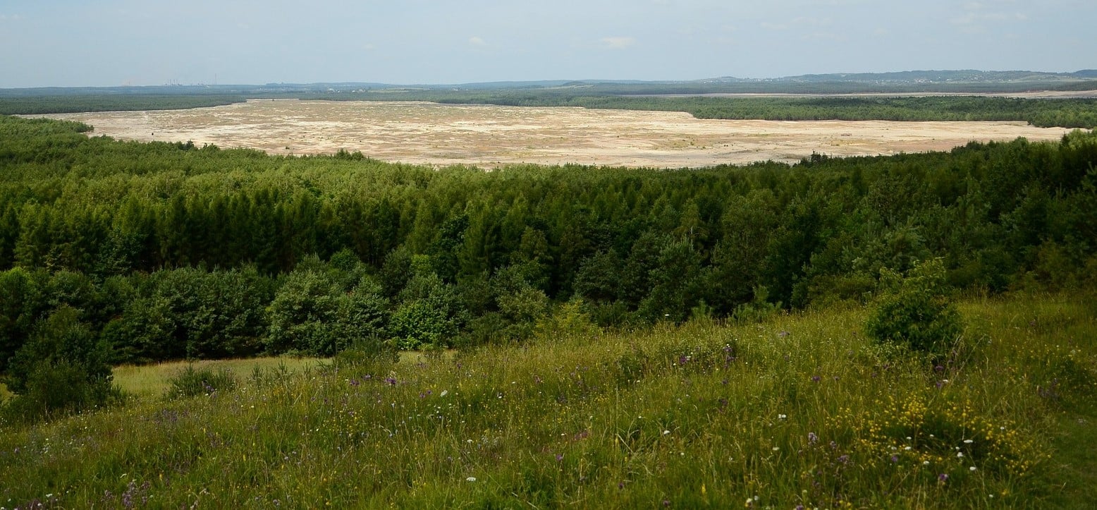 Jak powstała Pustynia Błędowska? „Polska Sahara” niewiele ma wspólnego z naturą