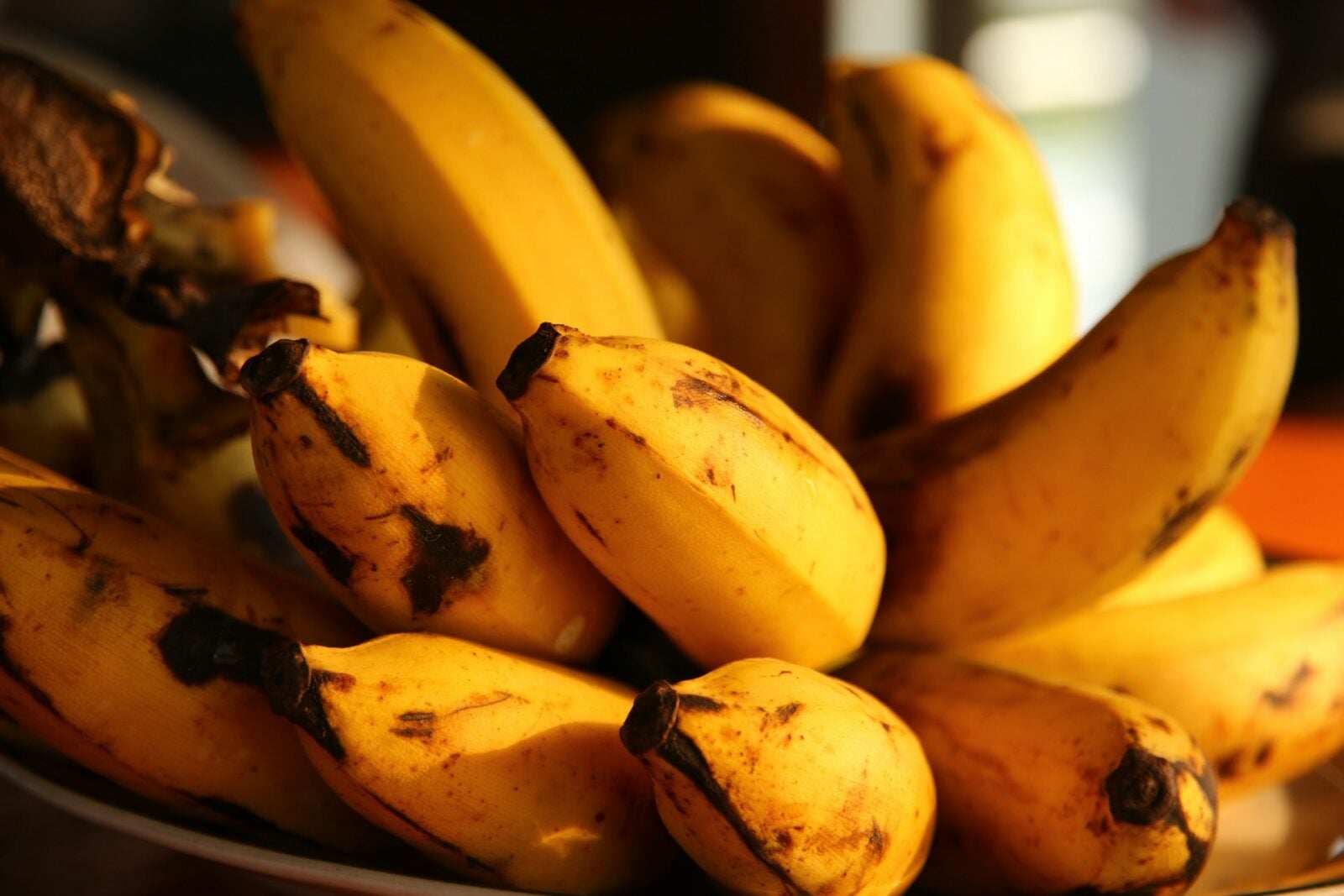 Odpady z produkcji bananów źródłem zielonej energii