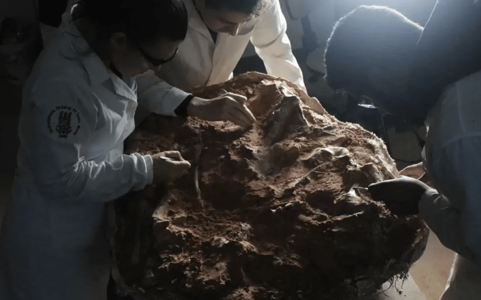 W Brazylii ulewne deszcze odsłoniły wyjątkową skamieniałość dinozaura