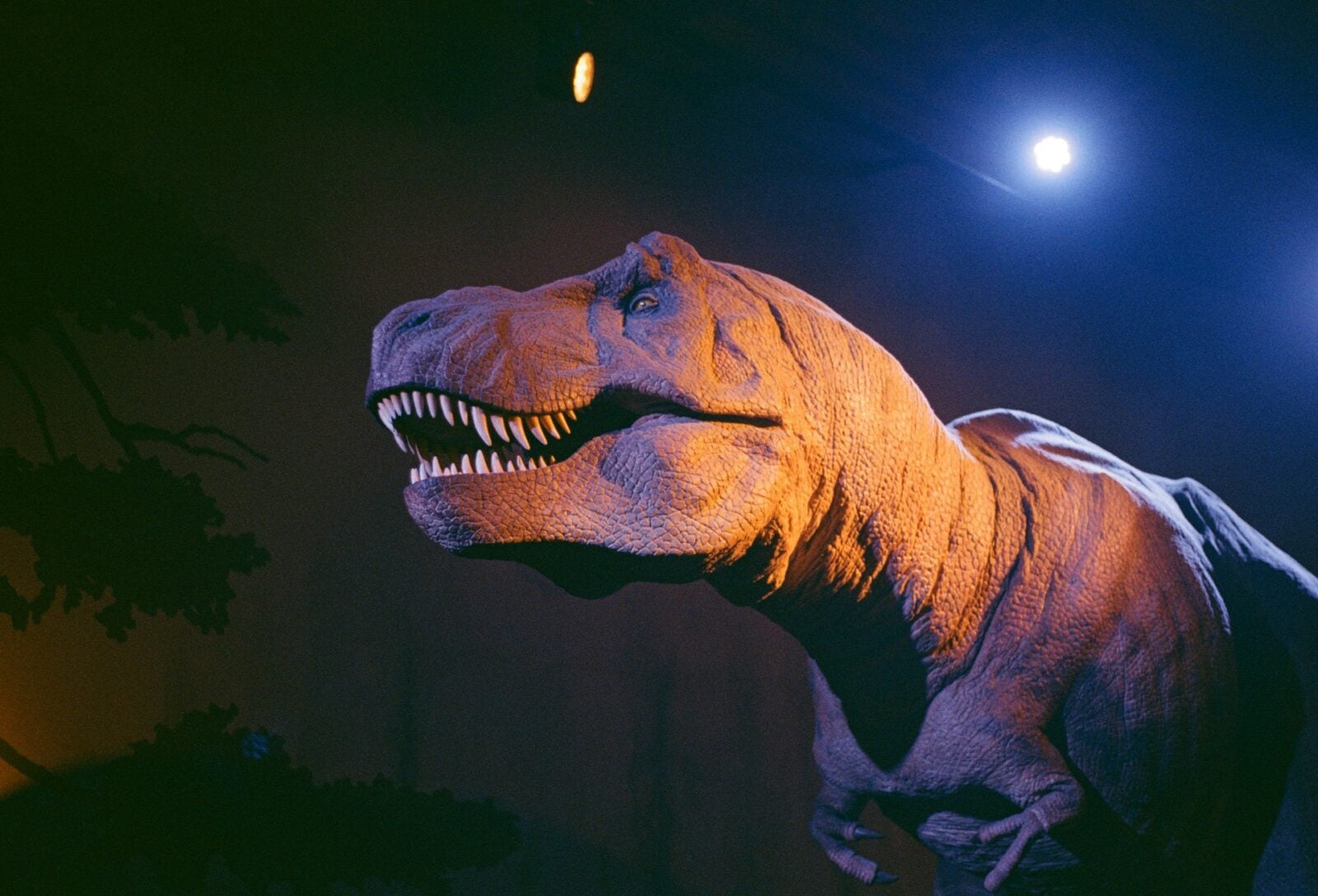 Stworzyli instrumenty muzyczne z czaszek dinozaurów. Wreszcie wiemy, jak brzmiały te bestie