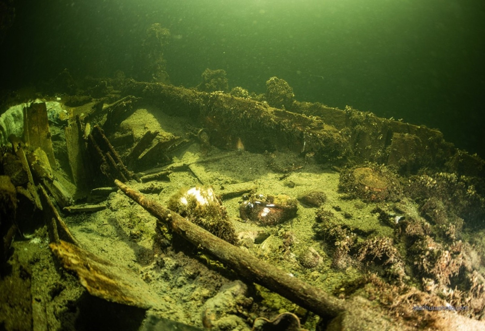 fot. Tomasz Stachura