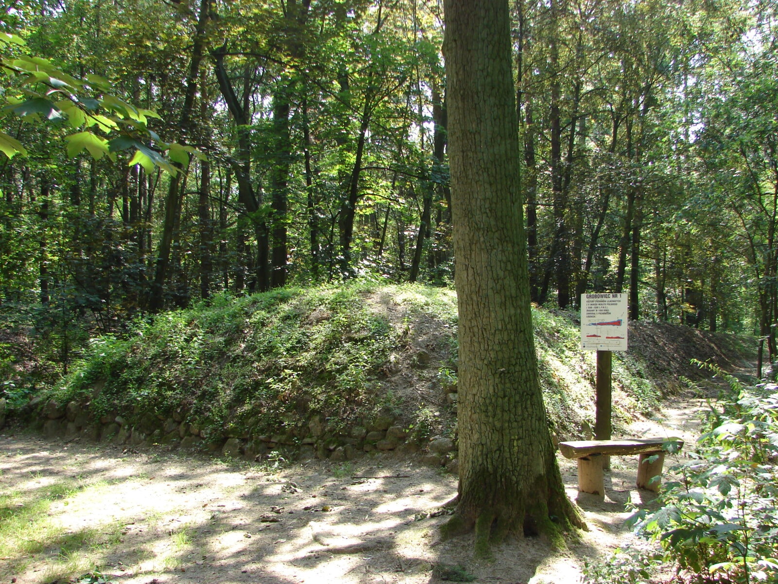 zdjęcie ukazujące jeden z wcześniej odnalezionych grobowców kujawskich