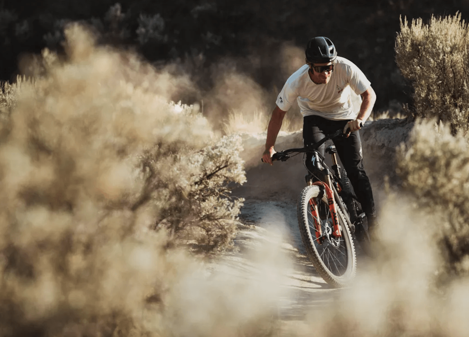 Specialized Stumpjumper 15 /Fot. Fox