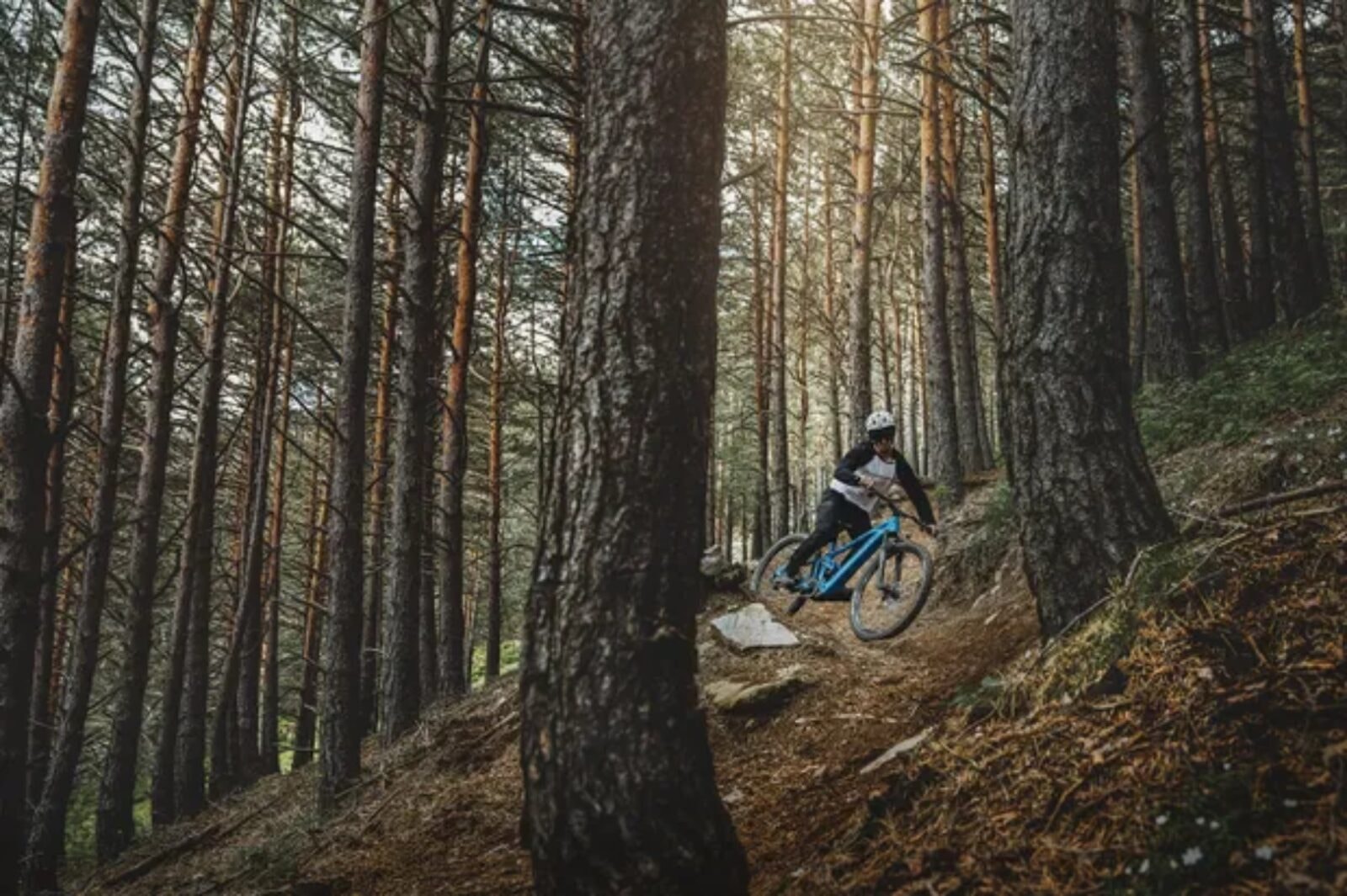 To dopiero rower! Mondraker SLY jest lekki, tani i na dodatek elektryczny