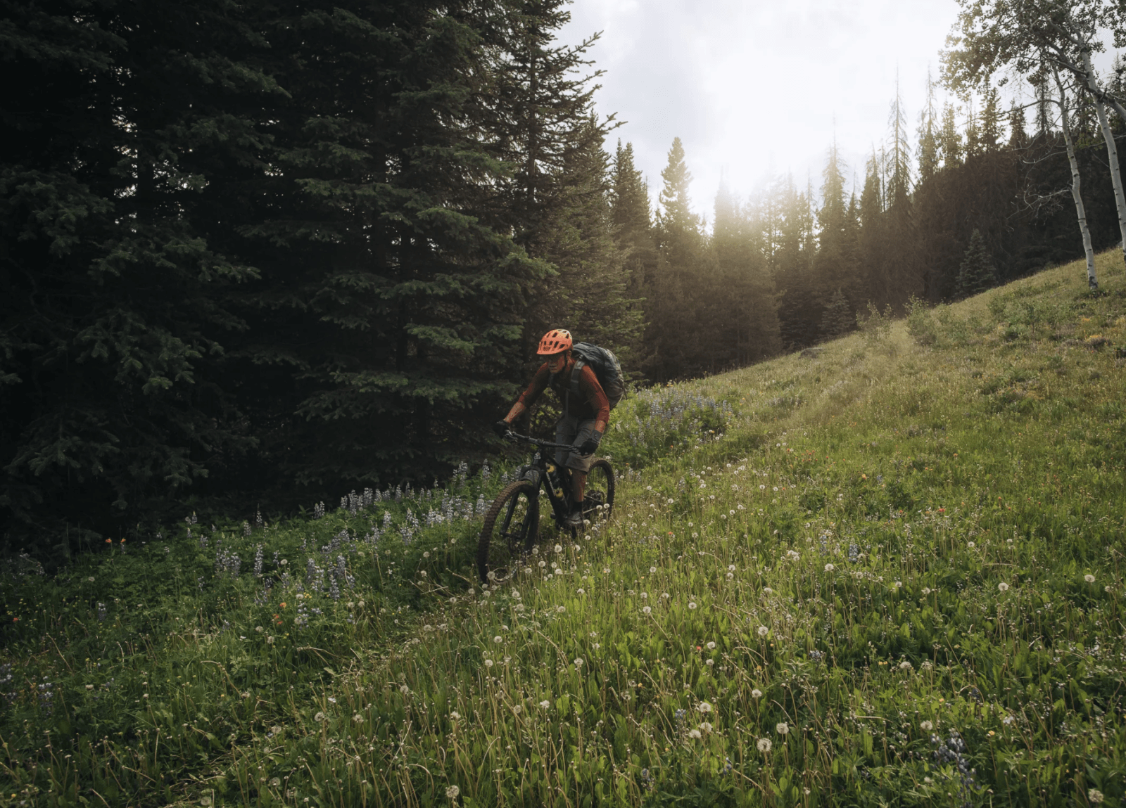Rocky Mountain Element z technologią Flex Stay – ewolucja rowerów idzie w dobrym kierunku