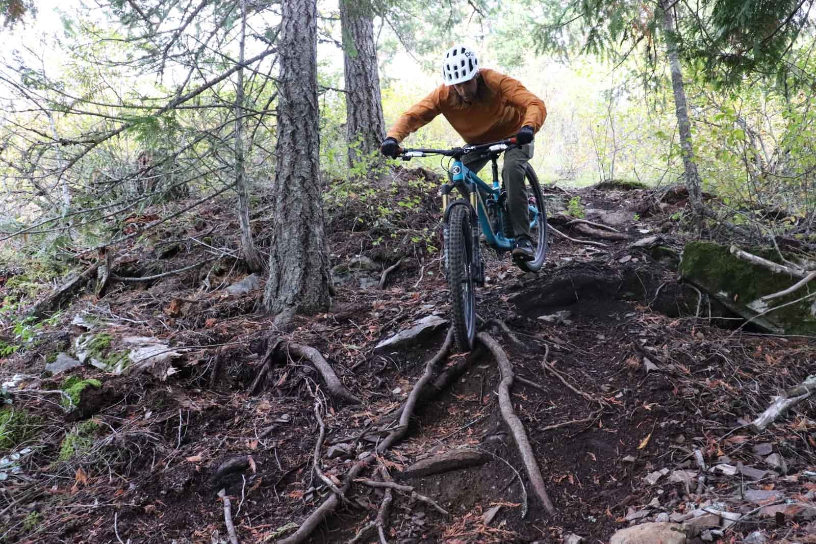 Nowe opony WTB stworzono z myślą o trudnych szlakach /Fot. WTB
