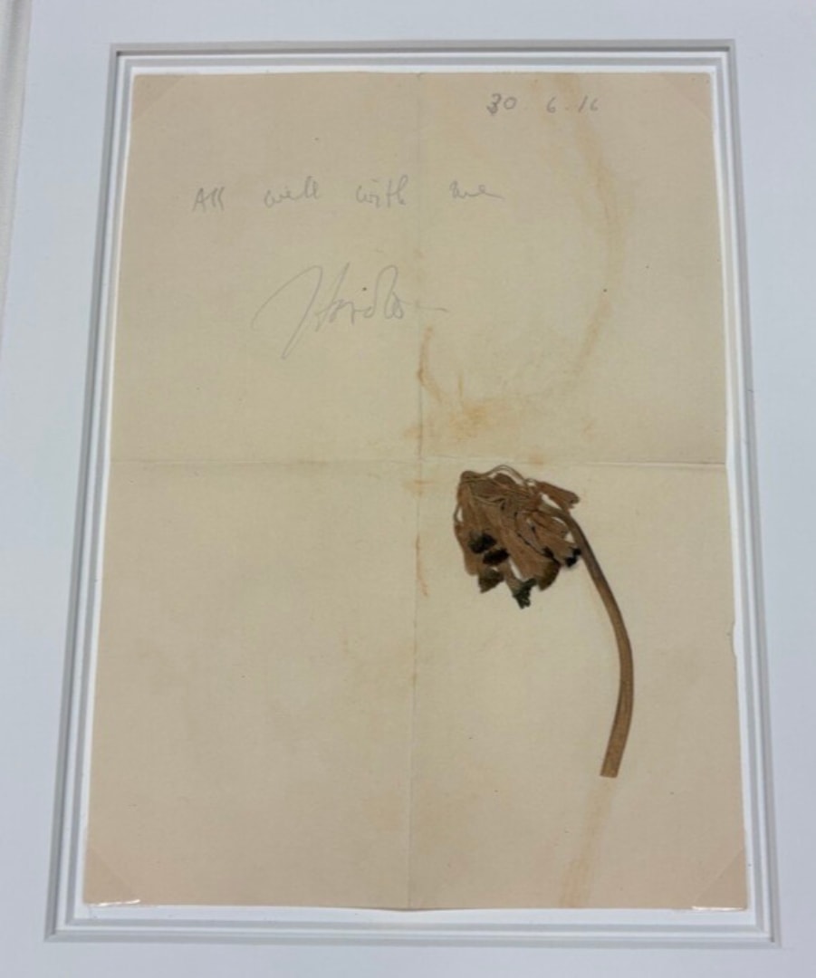 Ludzkie zabawki na królewskich dworach. Historia karłów, których traktowano jak żywe lalki