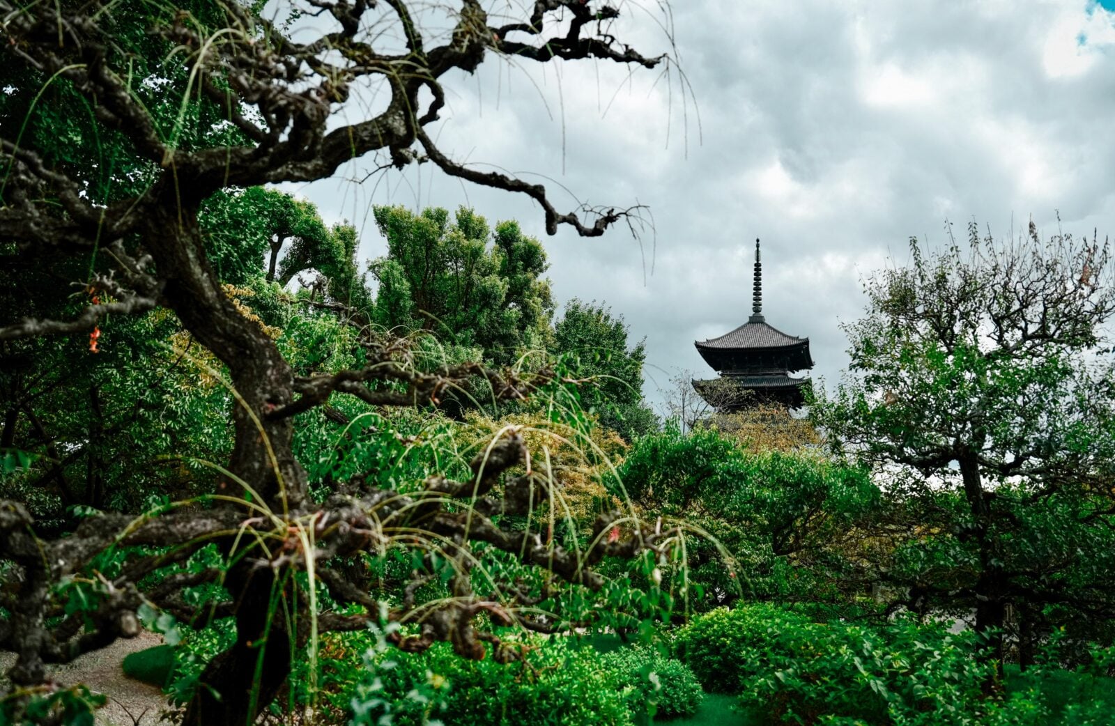 Japonia w ogniu temperatur jakiego nie było od 150 lat. Tysiące osób trafiło do szpitali