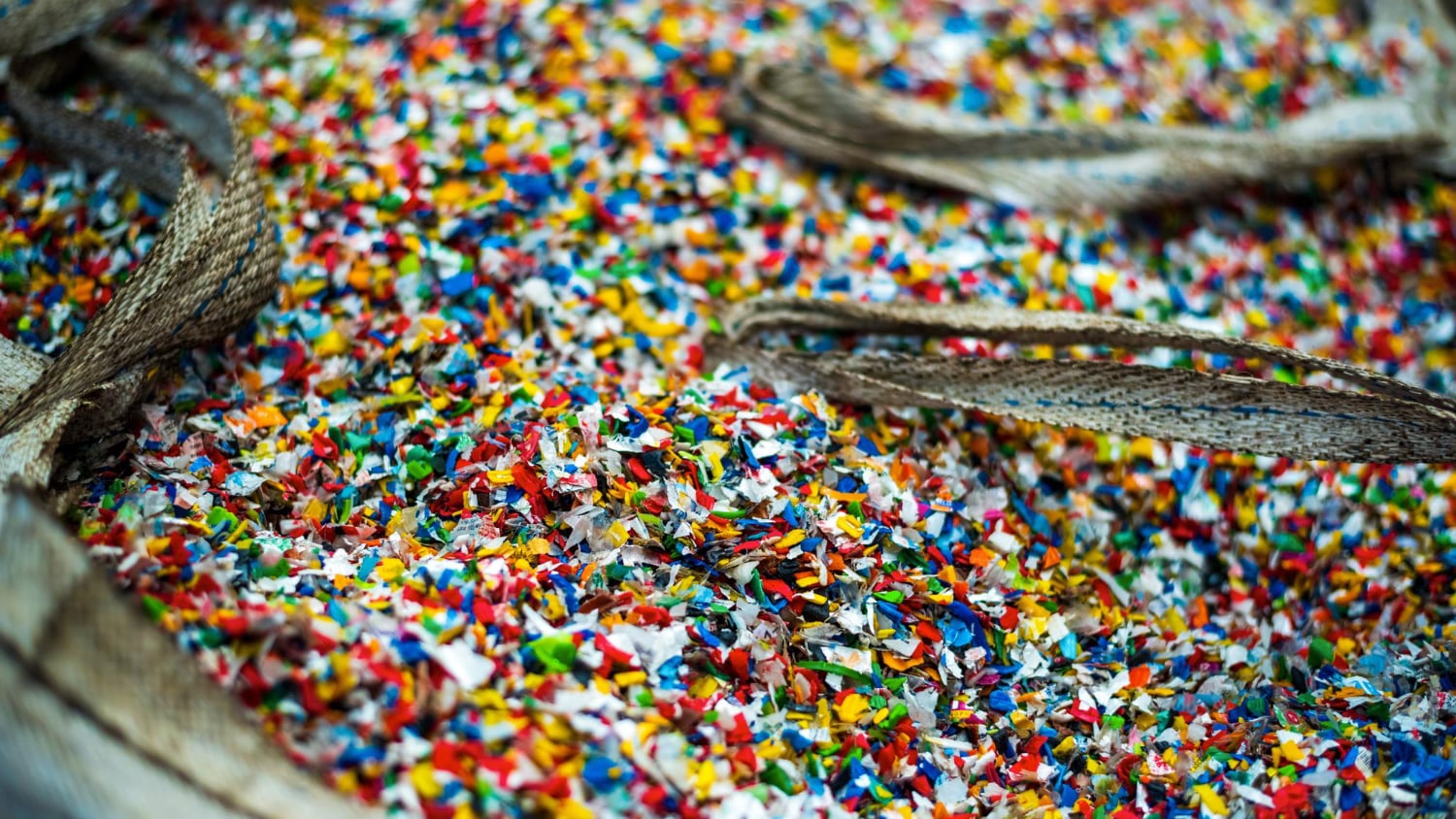 Ślady na dziewiczych fiordach – mikroplastik dociera tam, gdzie nie był człowiek
