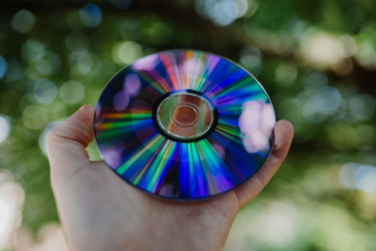 płyta cd dvd