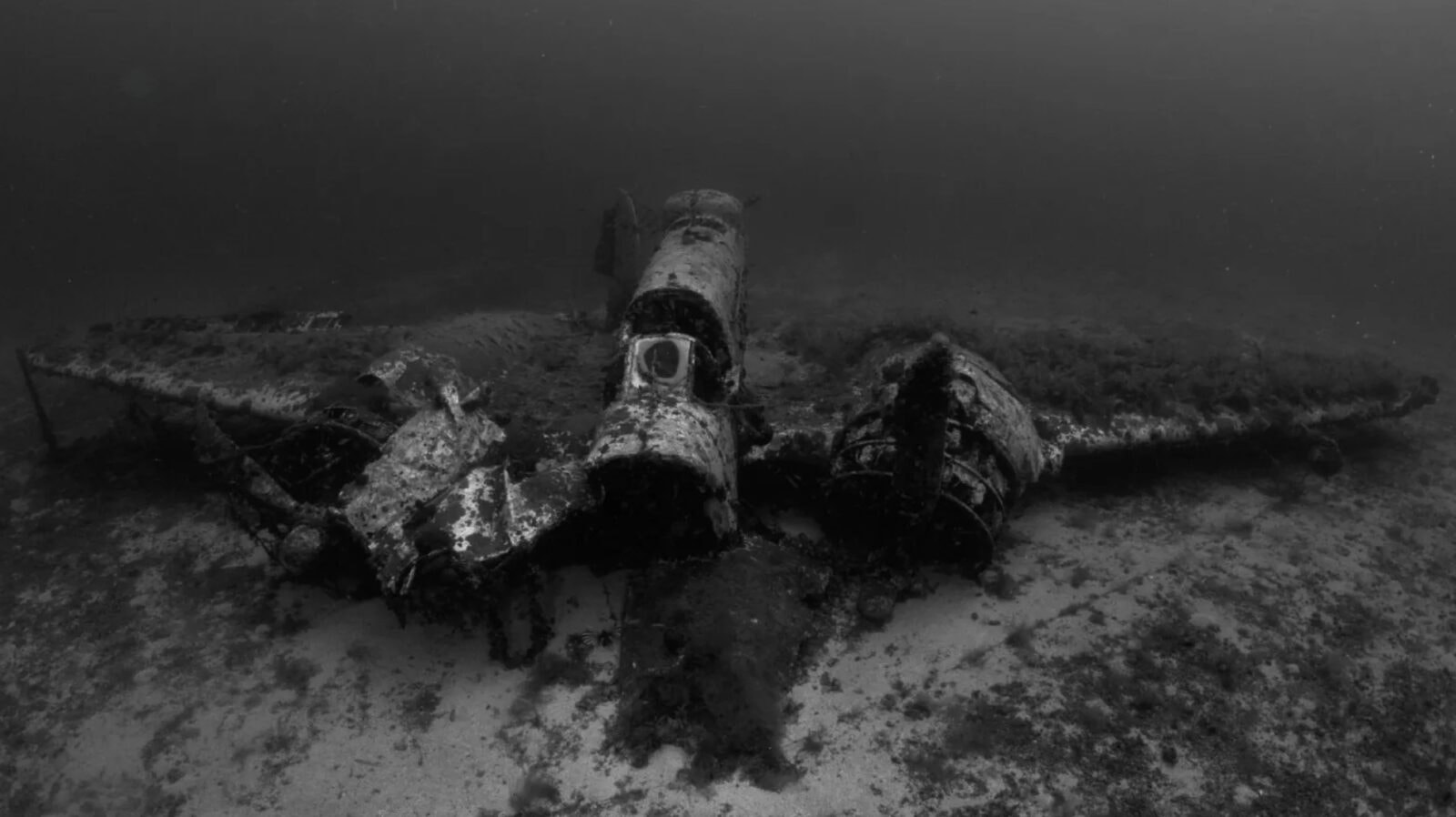 Spoczywała na dnie przez 82 lata. Dopiero teraz odkryli maszynę zestrzeloną przez nazistów