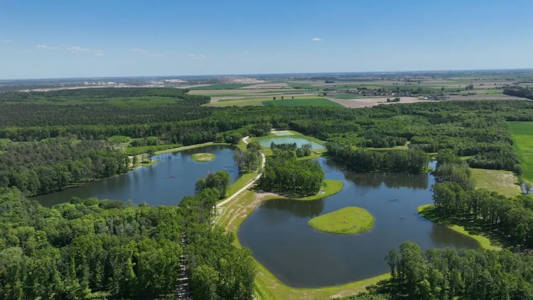 Woda z kopalni uratowała las. Polski projekt robi wrażenie na świecie