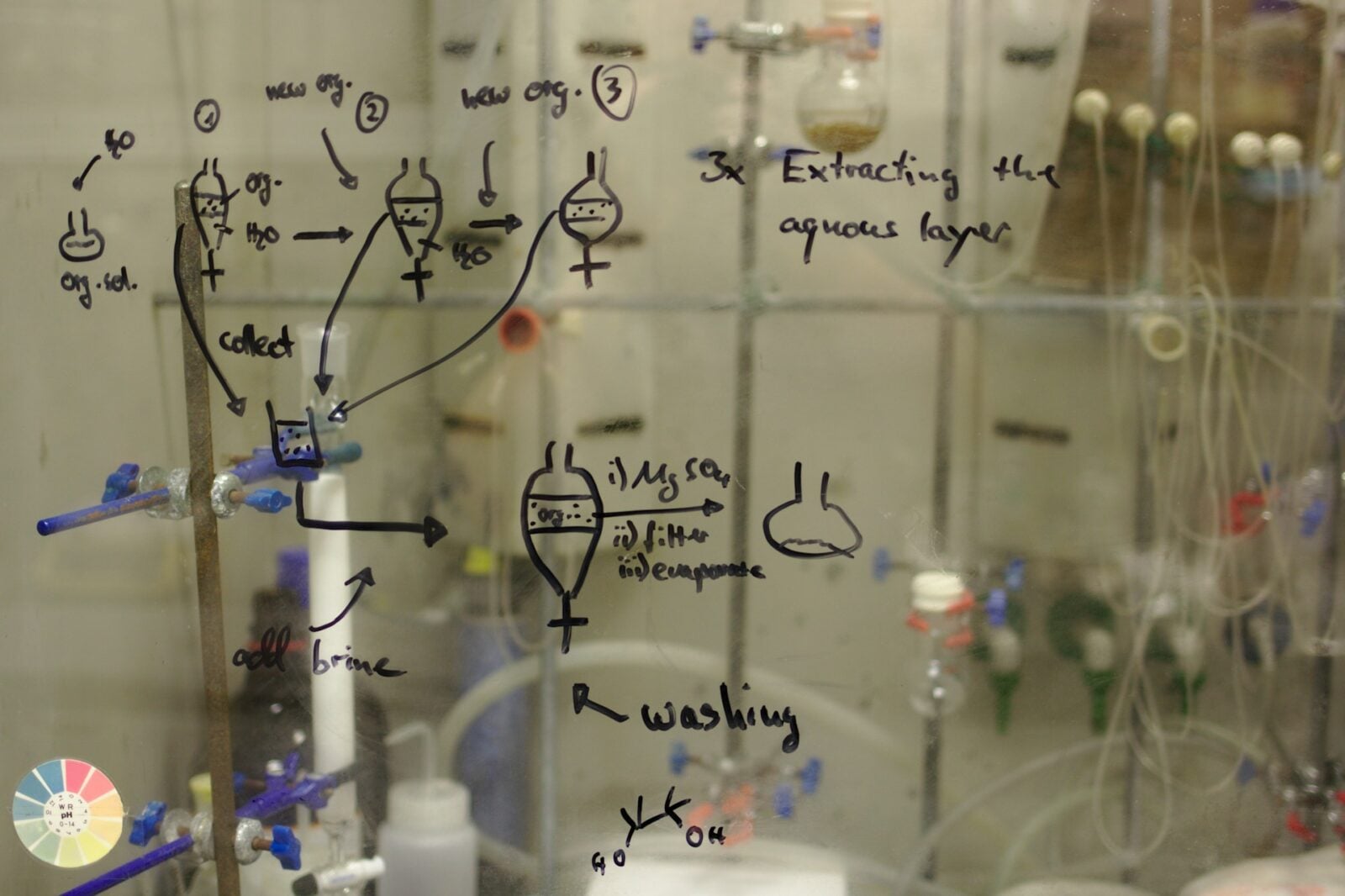 Grzyb z niezwykłą mocą zastąpi toksyczne chemikalia. Naukowcy z Krakowa dokonali przełomu