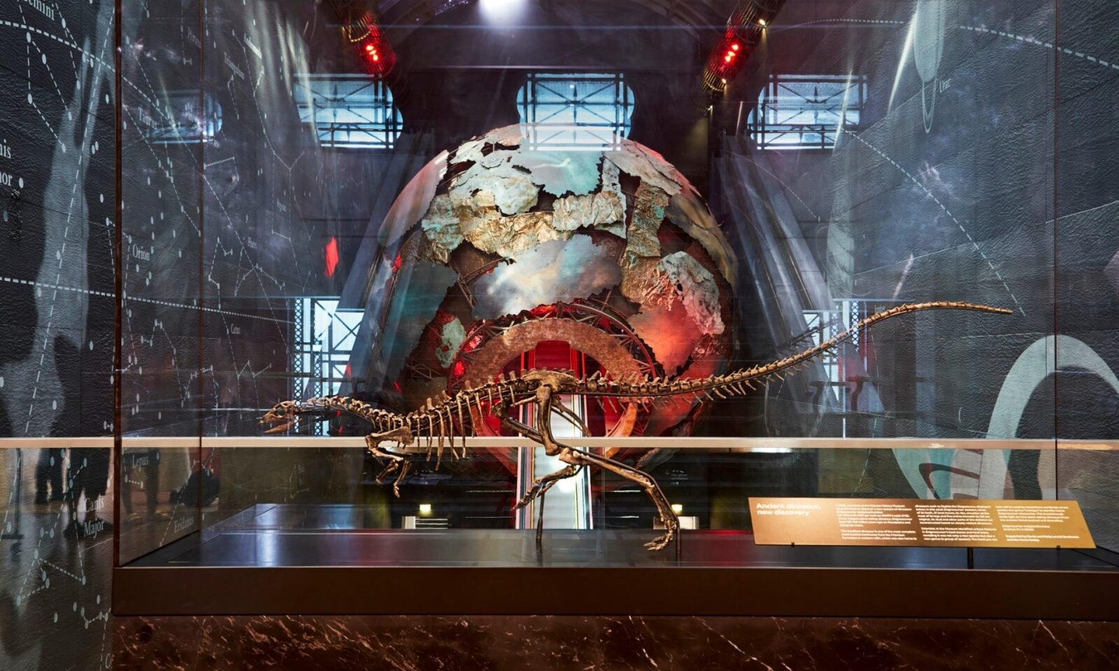 fot. Trustees of the Natural History Museum