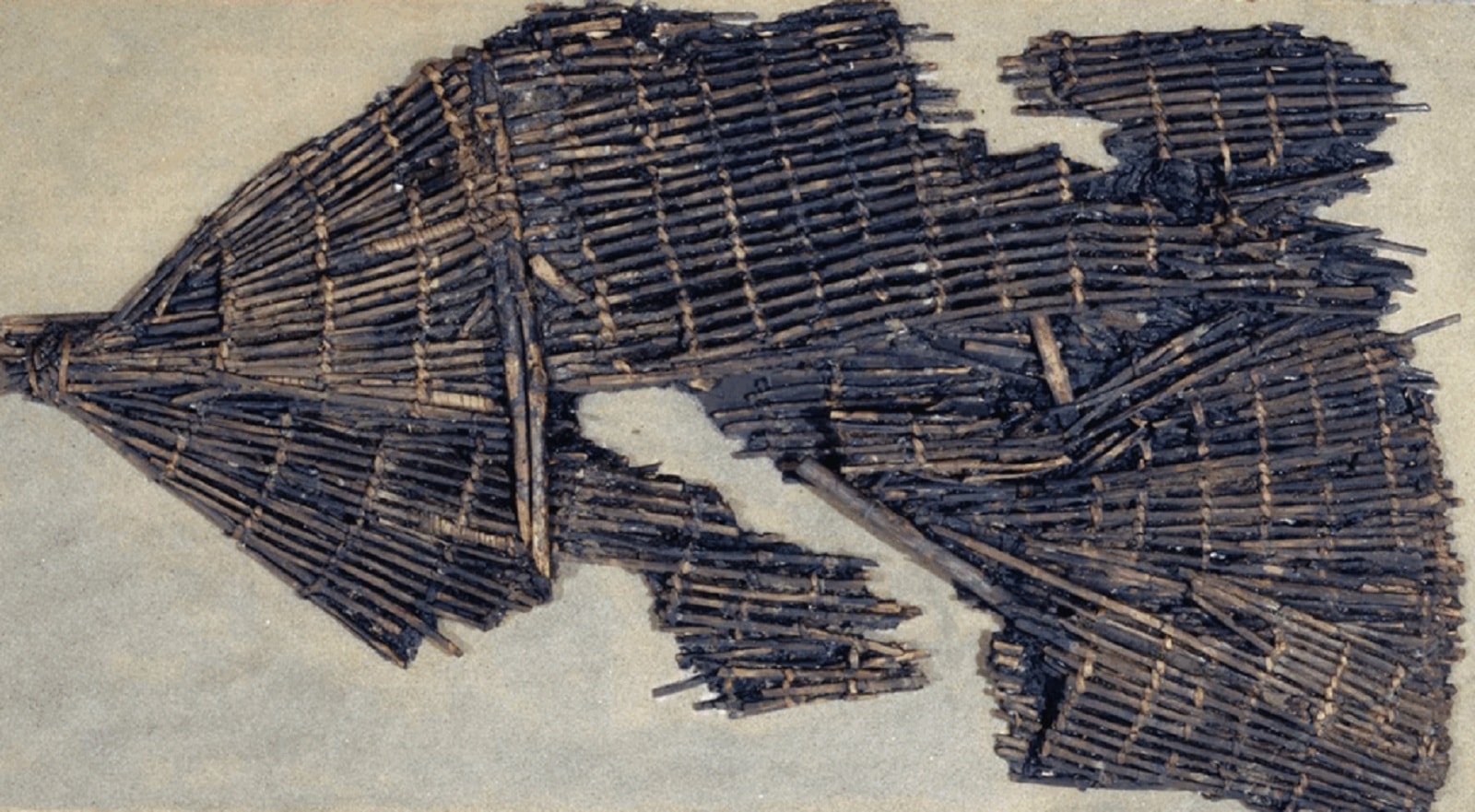 Rewolucja neolityczna pod ścianą. Fascynujące odkrycie z Danii może wszystko zmienić