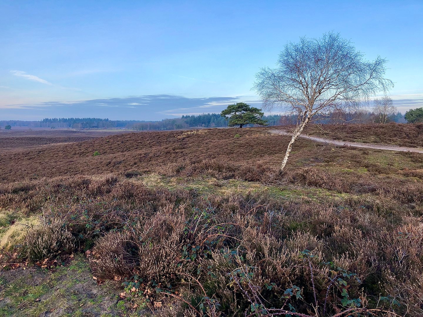Rzymski obóz znaleźli daleko poza granicami imperium. Jego lokalizację przewidział komputer