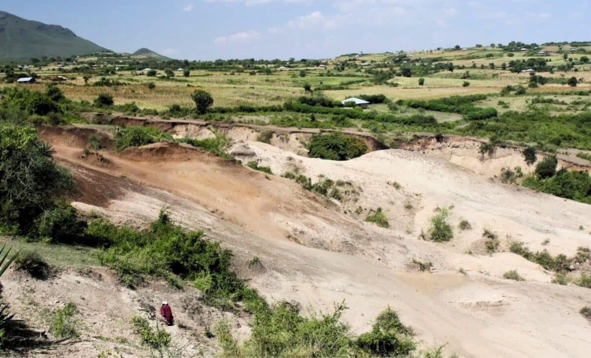 Przeszłość naszych przodków stała się jeszcze bardziej zagadkowa. To efekt odkryć z Kenii