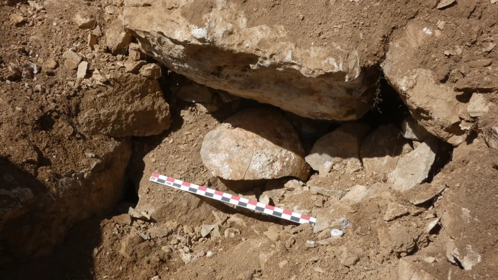 Archeolodzy odkryli brakujący element historii podboju Hiszpanii. Pojedyncza czaszka opowiadają historię upadku całej cywilizacji