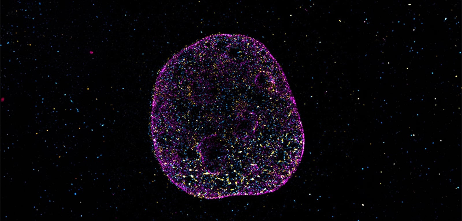 DNA ma ukryty kod geometryczny. Drugi język życia odkryty przez naukowców