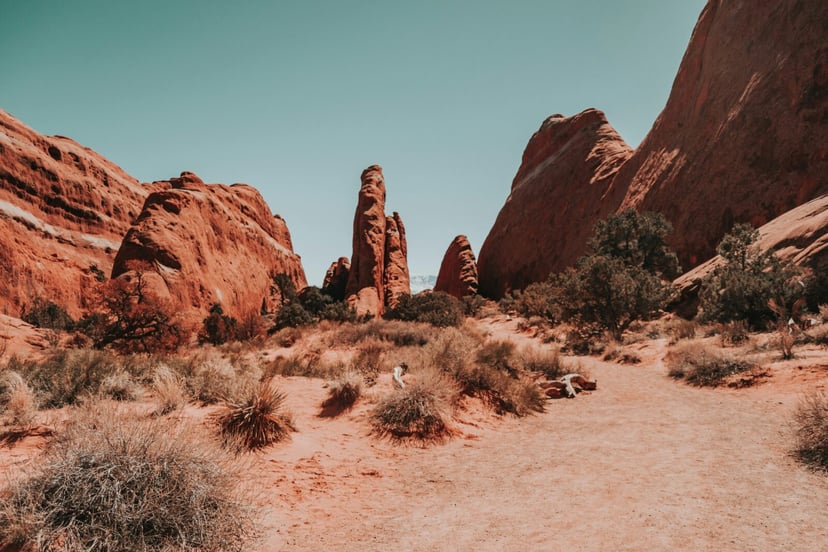 Metale dla przyszłości ukryte w glinie. Dlaczego Silicon Ridge robi taki hałas?