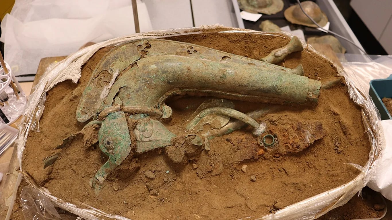 Archeolodzy odnaleźli bezcenny celtycki instrument. Jego dźwięk wywoływał wśród Rzymian wielkie przerażenie