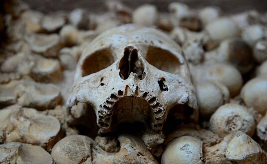 Kości, rany i masowe groby. Co archeologia mówi o przemocy dawnych ludzi