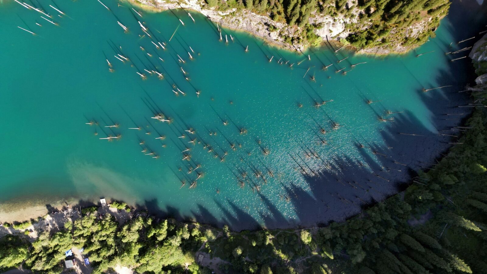 To jezioro ma dwa oblicza. Upiorne pnie nad wodą i perfekcyjny las pod nią