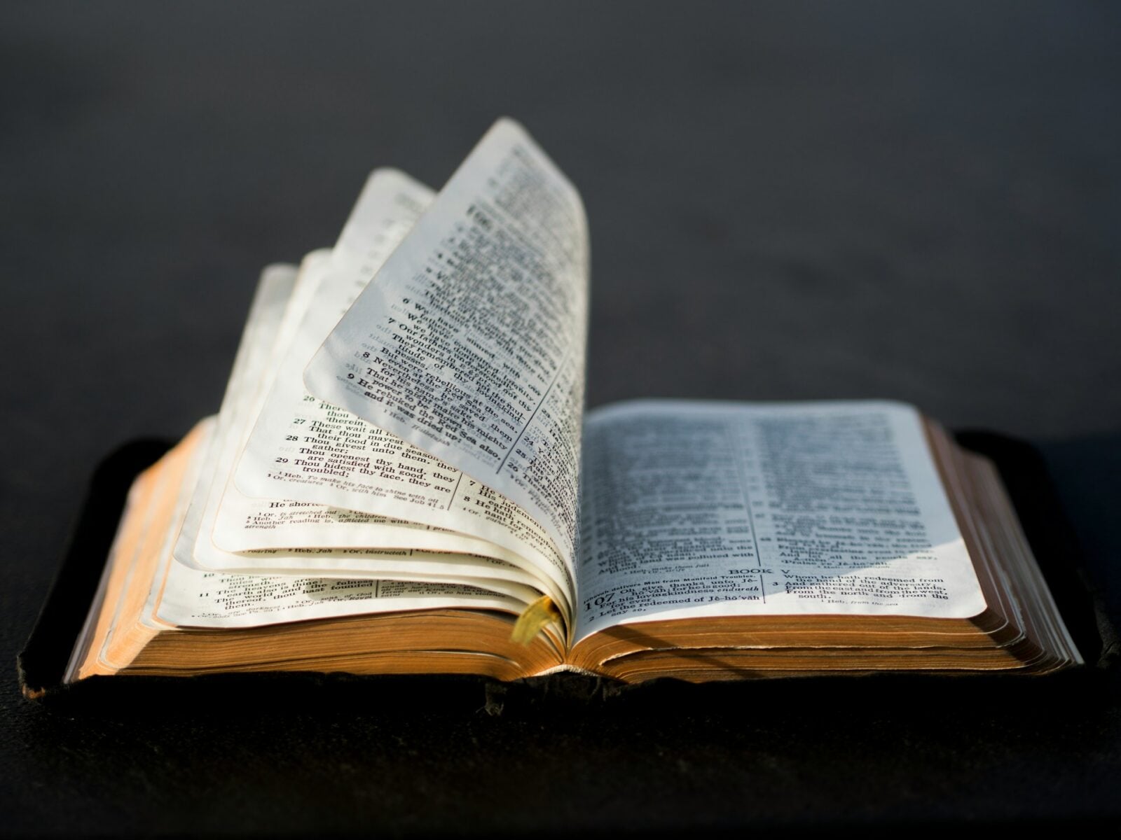 Archeologia a Biblia. Potwierdzenia, luki i wielkie nieporozumienia