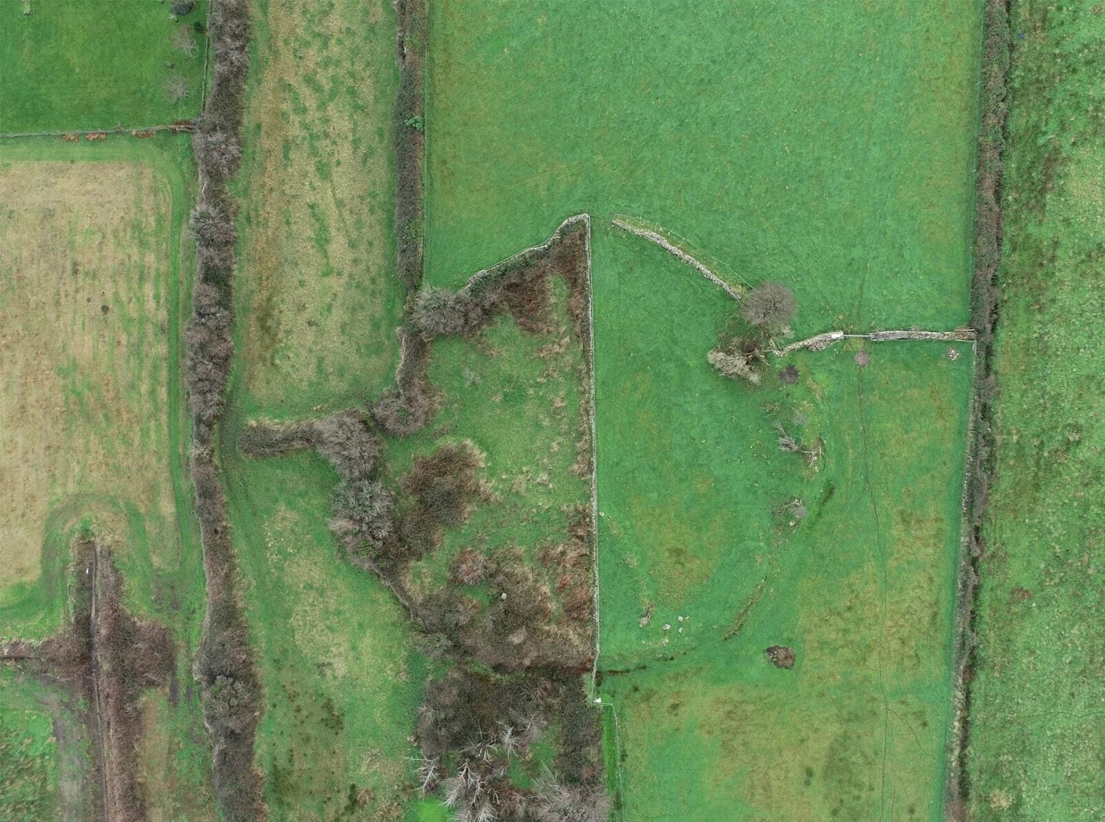 Irlandzkie opowieści ludowe odsłoniły zapomniane miejsca pochówku dzieci