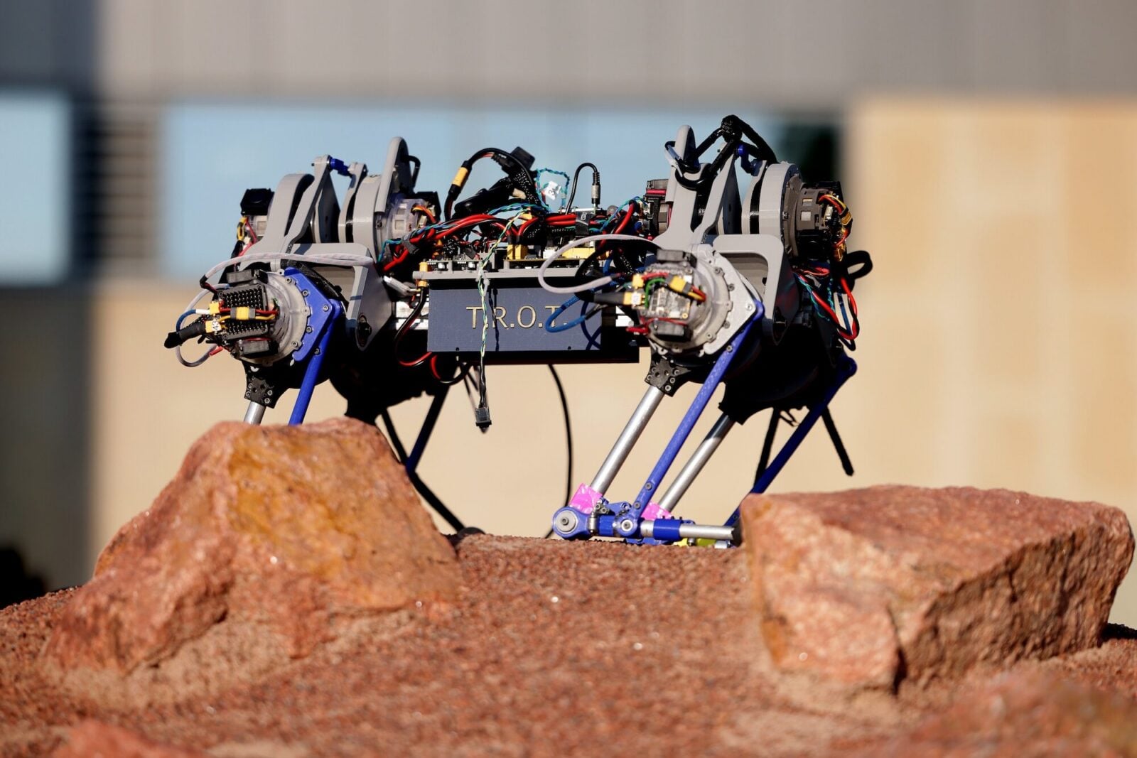 Robot TROT. Maszyna za 4 tysiące dolarów pozwala nam zrozumieć miliony lat ewolucji